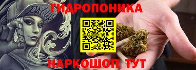 гашик Краснознаменск