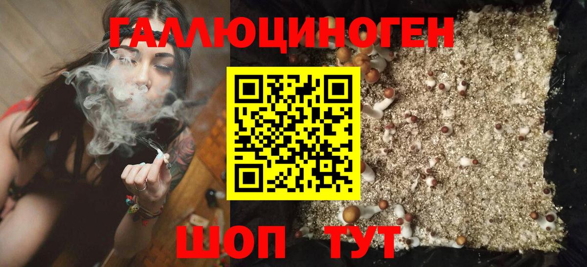 Псилоцибиновые грибы Psilocybine cubensis Красноармейск