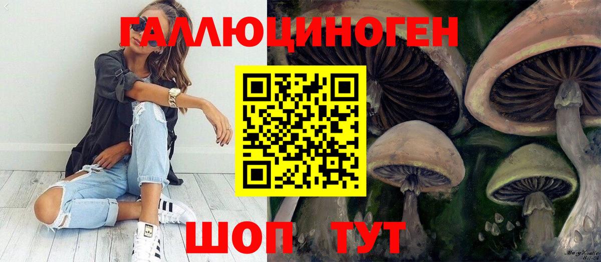 Галлюциногенные грибы GOLDEN TEACHER  Вход с VPN  Псилоцибиновые грибы Magic Shrooms  Красноармейск 